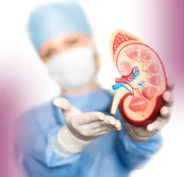 Lupus Nephritis Treatment