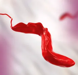 African trypanosomiasis (sleeping sickness) Treatment