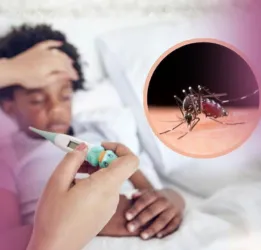 Malaria Treatment