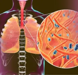 Whooping Cough Treatment