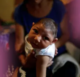 Zika Virus Treatment