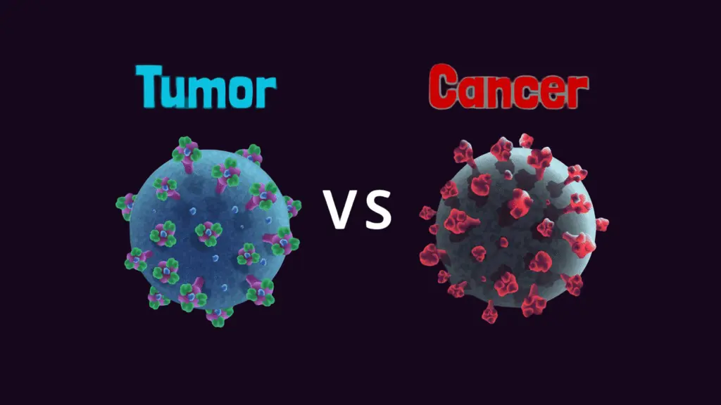 Difference Between Tumor and Cancer: A Complete Patient Guide