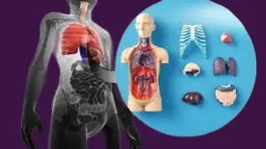 Multi-Organ Failure Treatment