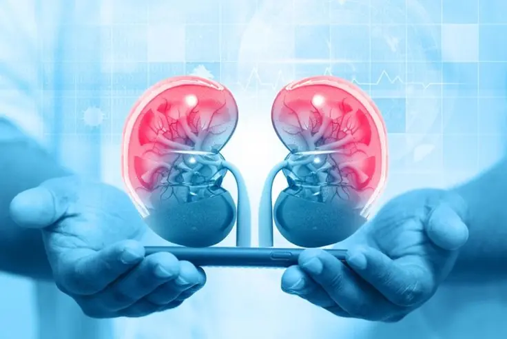 Best Nephrology Hospital in South Kerala